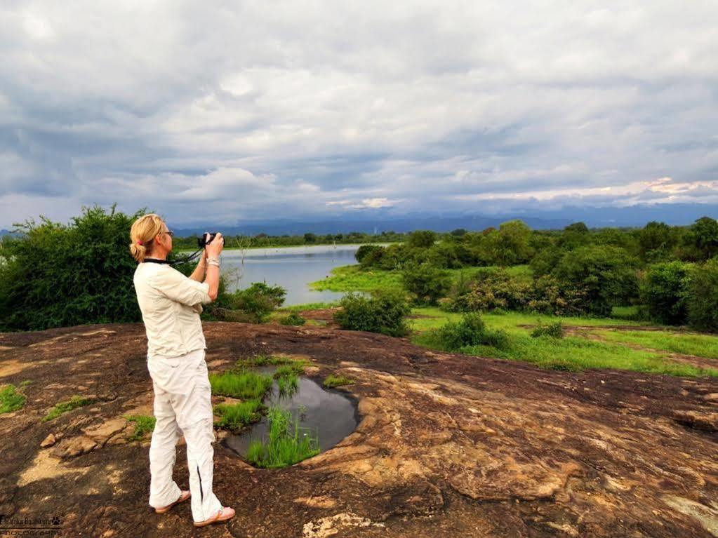 Mahoora Tented Safari Camp Udawalawe Dış mekan fotoğraf