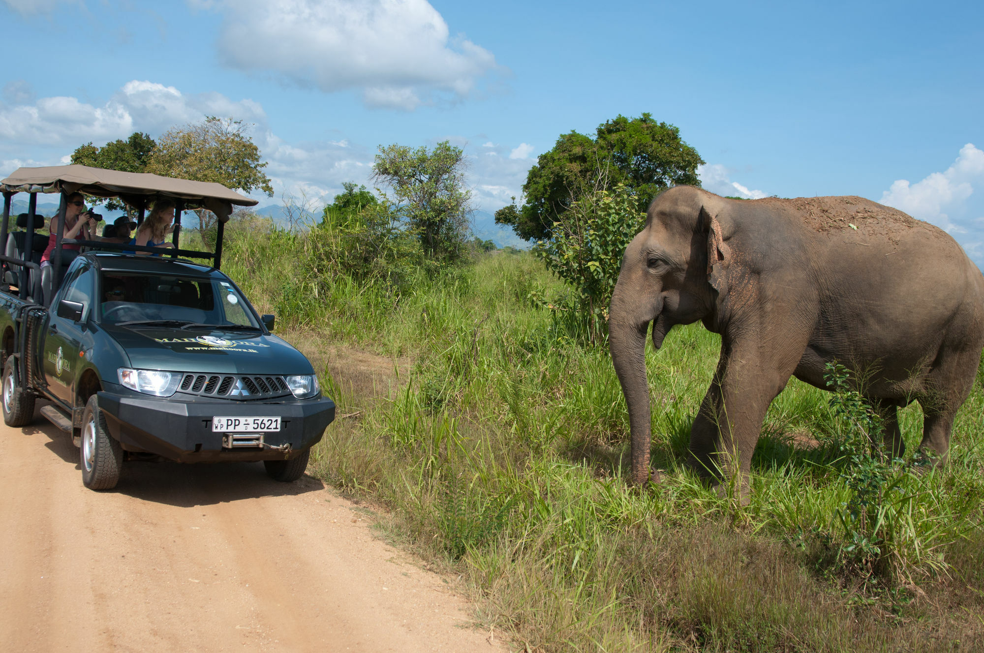Mahoora Tented Safari Camp Udawalawe Dış mekan fotoğraf