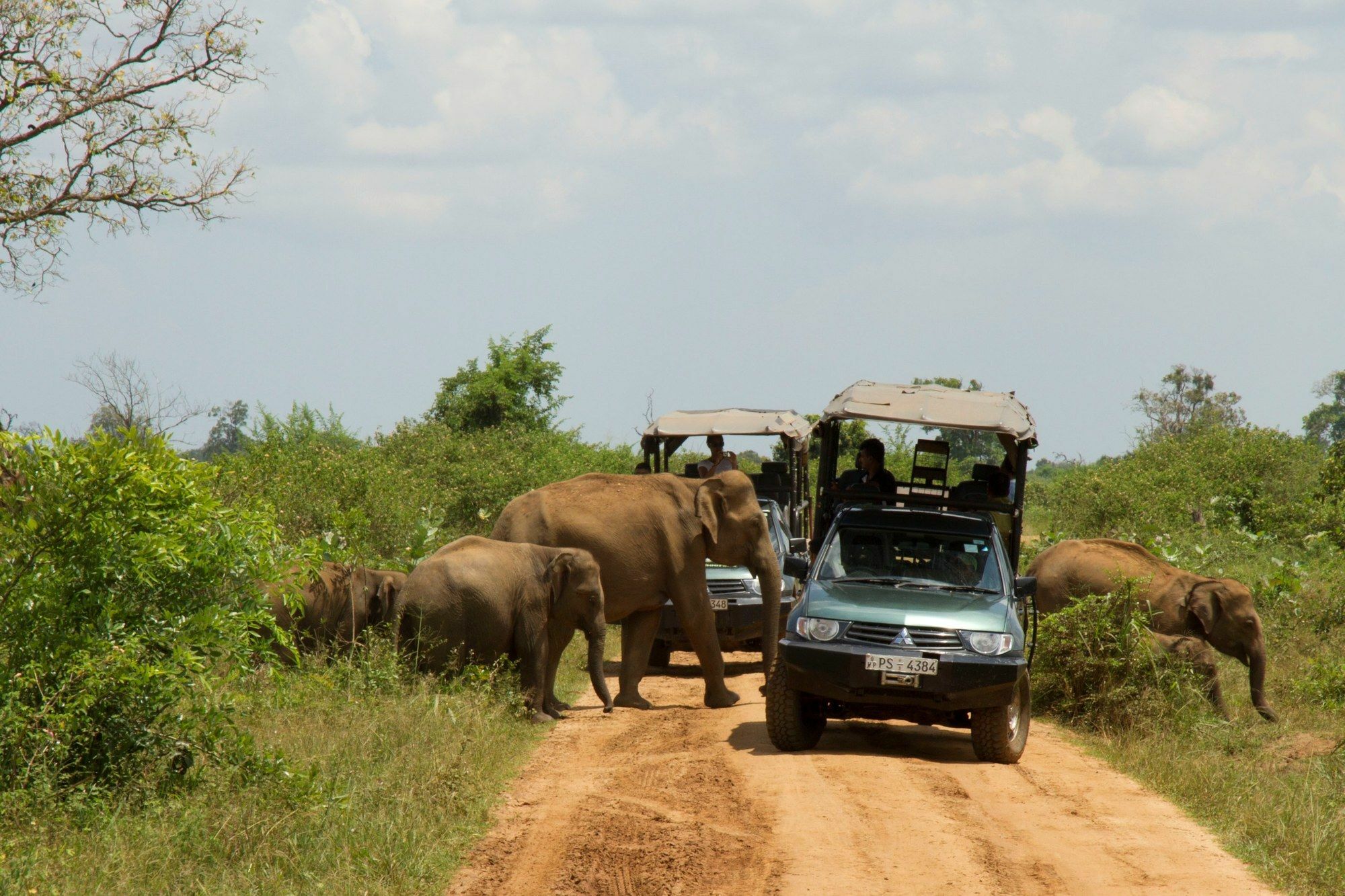 Mahoora Tented Safari Camp Udawalawe Dış mekan fotoğraf